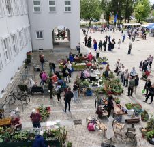 Pflanzenbörse bei Garten, Grünzeug & Gedöns auf dem Rathausplatz