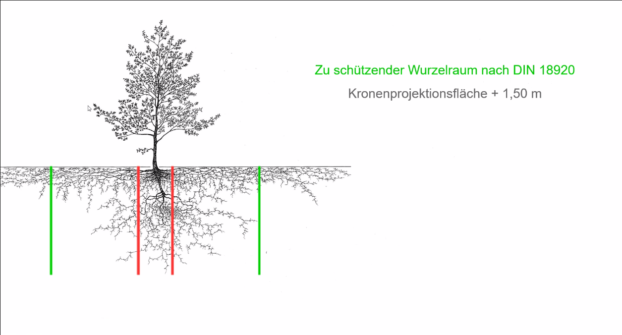 Abbildung Kronentraufbereich