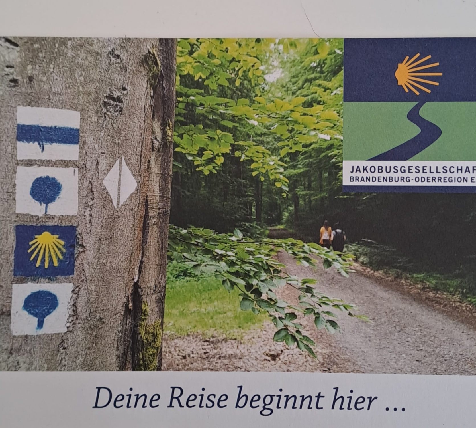 Pilgerweg mit Jakobsmuscheln als Wegweiser