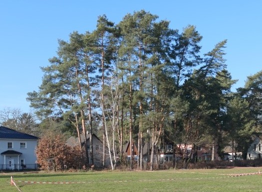 Richtung Straßenfront