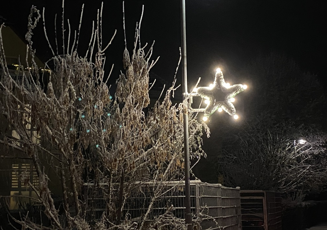 Die Weihnachtssterne aus dem Bürgerhaushalt erweitern die Weihnachtsbeleuchtung in Bergfelde um die Brückenstraße.