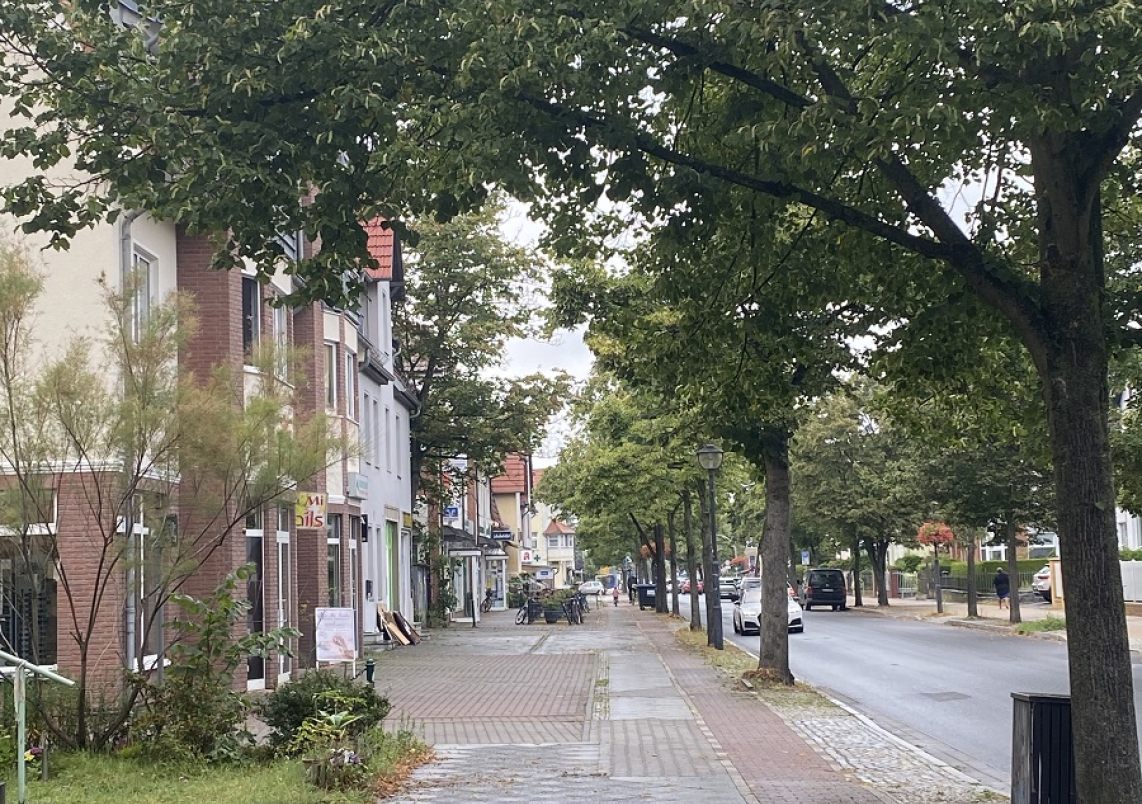 Blick auf den südlichen Gehweg der Schönfließer Straße.