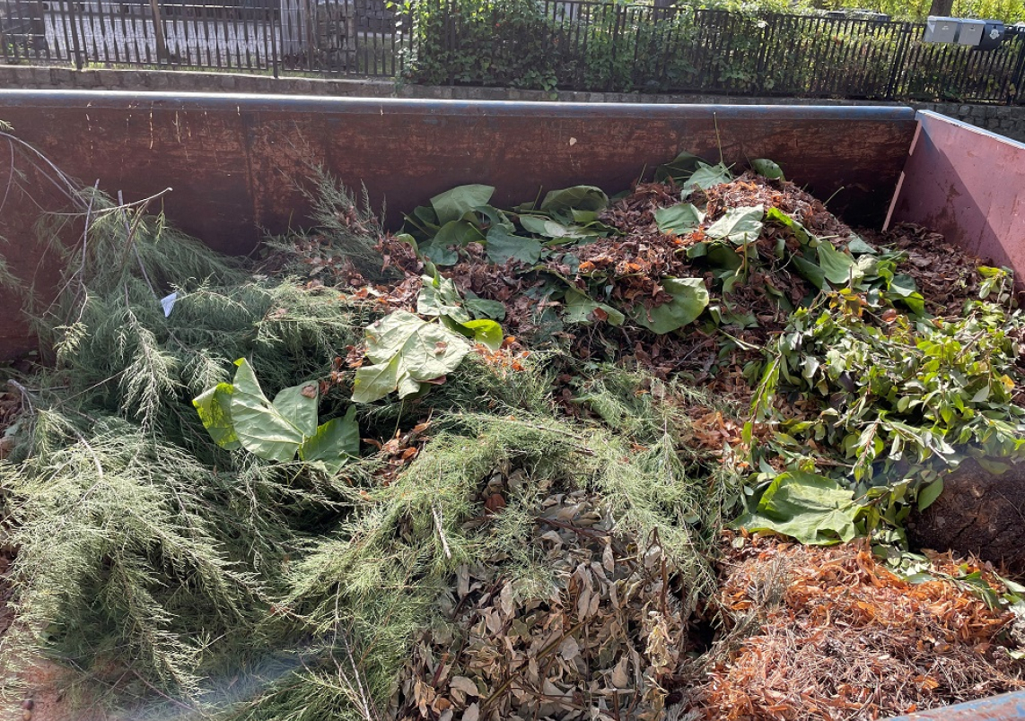 Illegales Geäst im Laubcontainer in der Schulstraße Bergfelde.