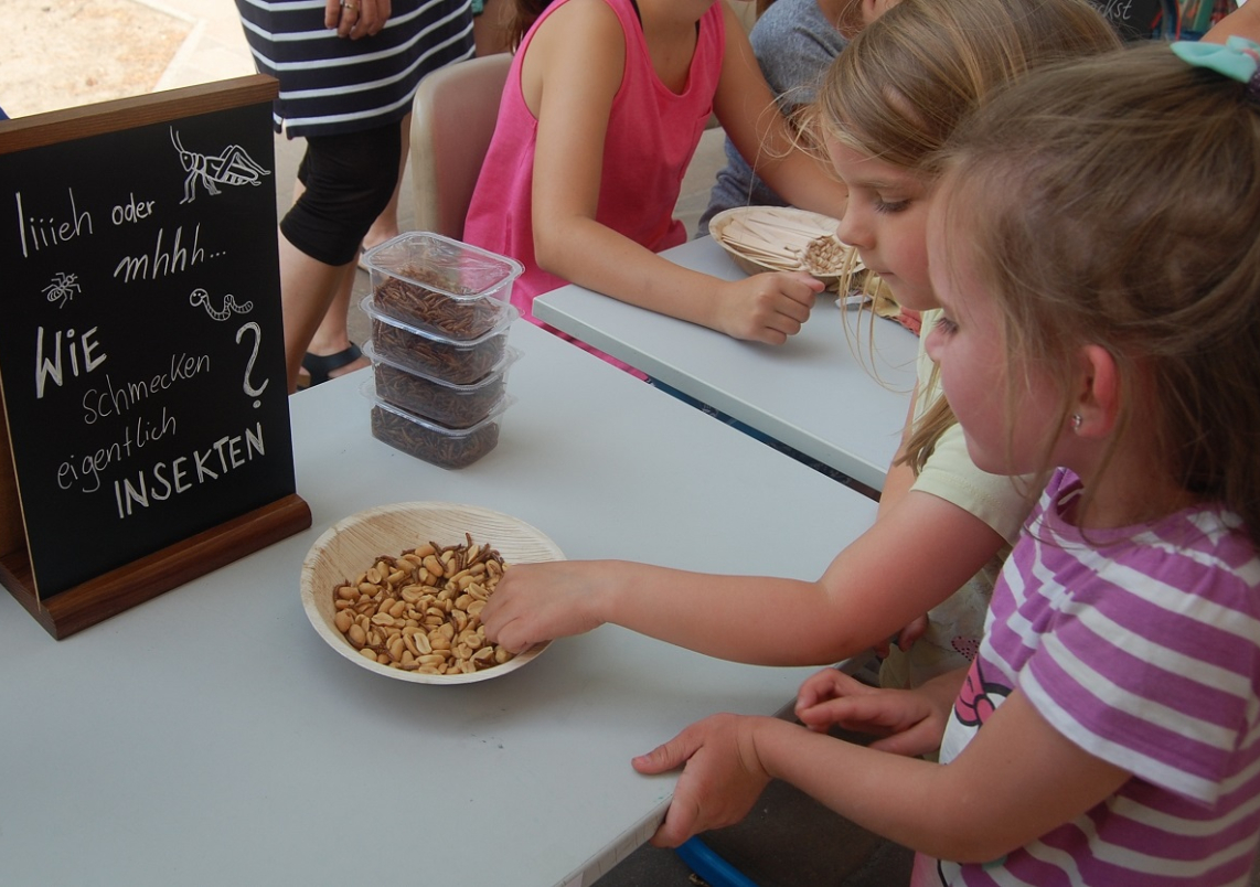 Foto: Waldgrundschule