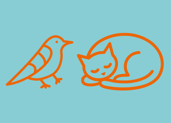 Fundtiere: Ziegensittich und Hauskatze Fundtiere: Ziegensittich und Hauskatze
